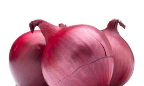 How to Preserve a Sliced Onion:Effective Tips and Techniques