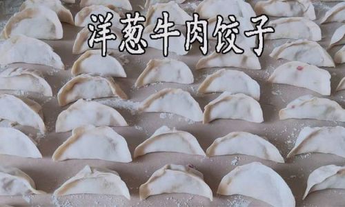 How to Make Onion and Beef Dumplings:A Culinary Delight