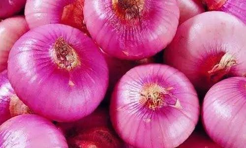 Can You Store Onions in the Refrigerator?A Comprehensive Guide
