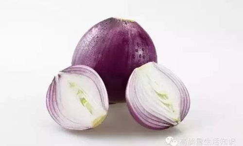 Can You Store Onions in the Refrigerator?A Comprehensive Guide