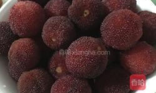 The Necessity of Rinsing Red Bayberries After Soaking in Saltwater:A Comprehensive Guide