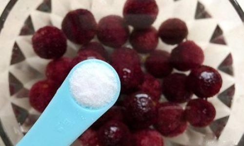 The Necessity of Rinsing Red Bayberries After Soaking in Saltwater:A Comprehensive Guide