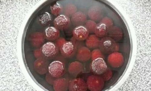 The Necessity of Rinsing Red Bayberries After Soaking in Saltwater:A Comprehensive Guide