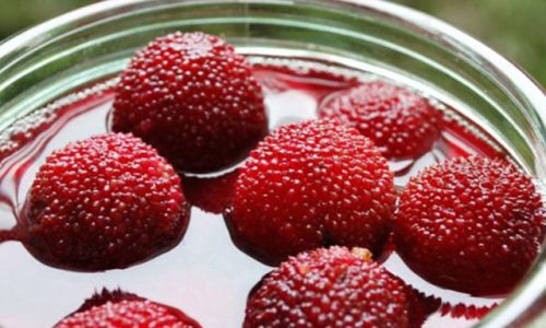 The Art of Preparing Waxberries:How Long to Soak Them in Saltwater
