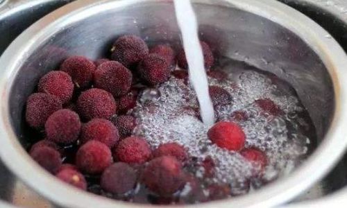 The Art of Preparing Waxberries:How Long to Soak Them in Saltwater