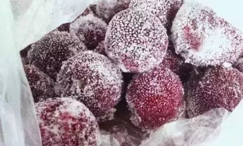 The Art of Preserving Red Bayberries:Is Freezing the Optimal Choice?
