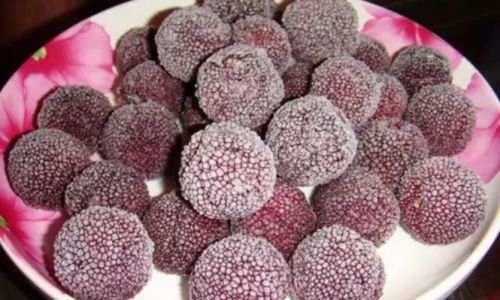The Art of Preserving Red Bayberries:Is Freezing the Optimal Choice?