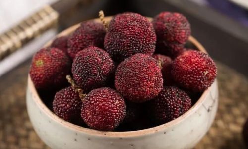 The Art of Preserving Red Bayberries:Is Freezing the Optimal Choice?