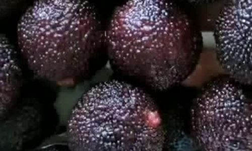 Delightful Culinary Adventures with Red Bayberries:Exploring the Versatile Delights