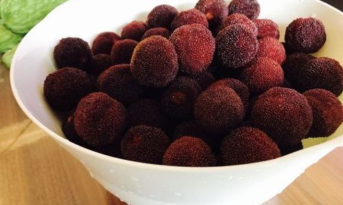Delightful Culinary Adventures with Red Bayberries:Exploring the Versatile Delights
