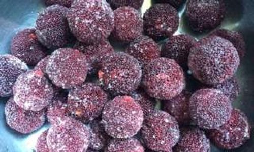 Delightful Culinary Adventures with Red Bayberries:Exploring the Versatile Delights