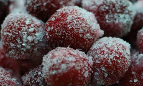 Can You Freeze Red Bayberries?A Comprehensive Guide