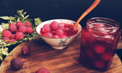 An Insight into the Art of Aging Yangmei Red Bayberry)Wine