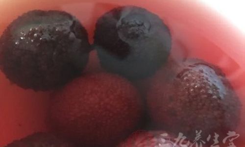 An Insight into the Art of Aging Yangmei Red Bayberry)Wine