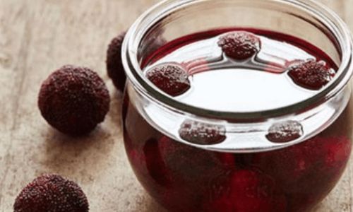 An Insight into the Art of Aging Yangmei Red Bayberry)Wine