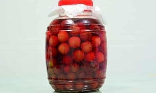An Insight into the Art of Aging Yangmei Red Bayberry)Wine