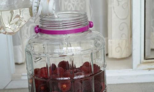 How Long Can Yangmei Red Bayberry)Wine Be Preserved?