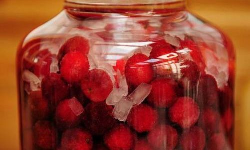 The Impact of Adding Brown Sugar to Red Bayberry Wine