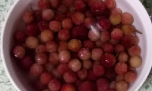 How to Make Delicious Yangmei Red Bayberry)Wine at Home