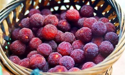 How Long Can You Store Yangmei Red Bayberry)Cake?