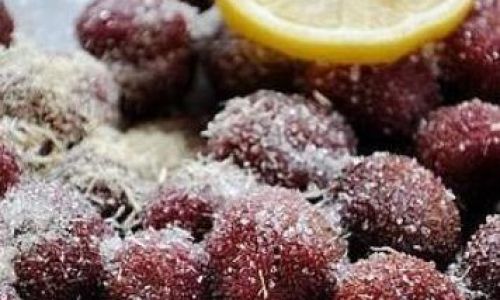 The Art of Drying Red Bayberries:How Long Until Theyre Ready to Eat?