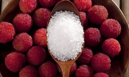 Preserving the Freshness of Red Bayberries in the Refrigerator:A Comprehensive Guide