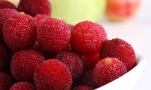 An Exploration of Waxberry Red Bayberry)Culinary Delights
