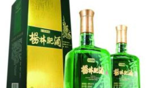 The Dilemma of Yanglin Fatty Wine:To Use Fat or Not?