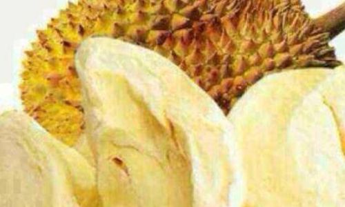 Edible Parts of Yanghe:A Comprehensive Guide