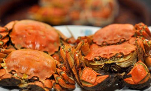 Comprehensive Guide to Cooking Yangcheng Lake hairy Crabs