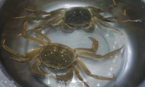Comprehensive Guide to Cooking Yangcheng Lake hairy Crabs