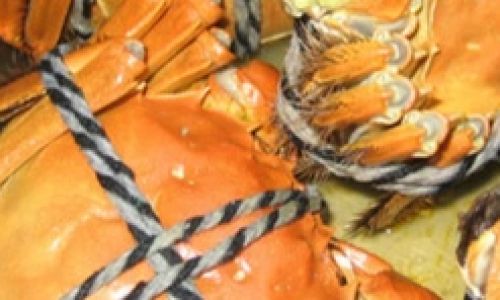Preserving Cooked Yangcheng Lake hairy crabs:A Comprehensive Guide