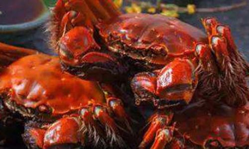 How Long Should Yangcheng Lake hairy Crabs Be Steamed to Perfection?