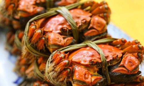 The Arrival of Yangcheng Lake hairy crabs:A Culinary Delight in Autumn