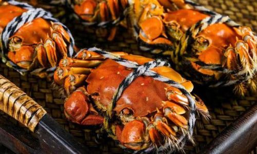 The Arrival of Yangcheng Lake hairy crabs:A Culinary Delight in Autumn