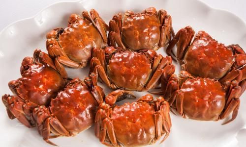 The Arrival of Yangcheng Lake hairy crabs:A Culinary Delight in Autumn