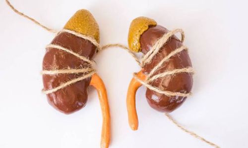 Optimizing the Consumption of Lamb Kidneys for Renal Health:A Comprehensive Guide