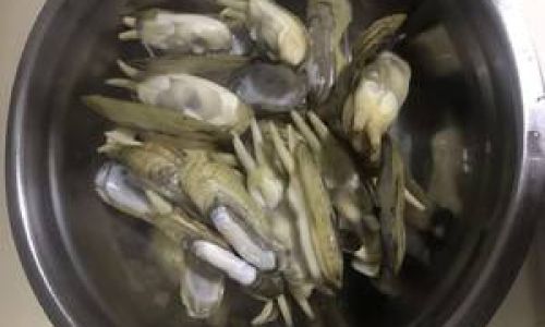 Mastering the Art of Cooking Razor Clams:Delicious Recipes and Expert Tips