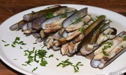 To Clean or Not to Clean:Debating the Necessity of Removing Razor Clam Intestines
