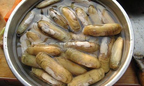 How to Store Razor Clams to Keep Them Fresh and Alive for Several Days:A Comprehensive Guide