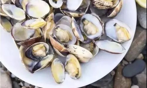 Can Razor Clams Be Stored in the Refrigerator?A Comprehensive Guide to Safe Handling and Storage