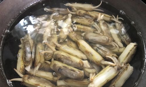 How Long Can Razor Clams Survive in the Refrigerator?A Comprehensive Guide to Storage and Freshness
