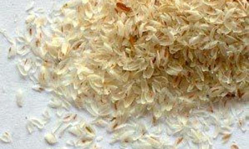 The Comprehensive Guide to the Multifaceted Benefits of Psyllium Husk Powder
