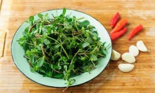 Can Plantain Leaves Be Used as a Filling?Exploring Culinary Uses and Cultural Significance