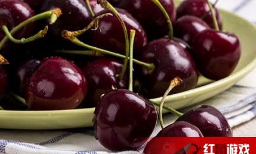 The Ultimate Guide to Preserving Cherries:Tips and Tricks for Long-Lasting Freshness