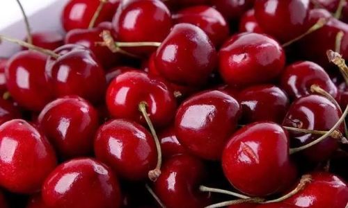 Decoding the Difference:A Comprehensive Guide to Double J vs.Triple J Cherries