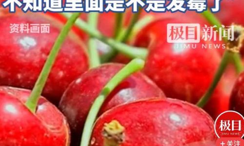 Can You Still Eat Spoiled Cherries?A Comprehensive Guide to Safety,Risks,and Alternatives