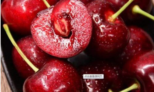The Allure of Cherries:A Journey Through History,Varieties,and Cultural Significance