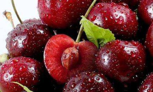 How Long Do Cherries Last in the Fridge?Expert Tips for Maximizing Freshness Up to 7 Days