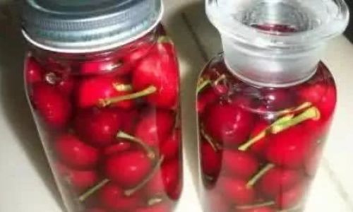The Art of Crafting Exquisite Cherry-Infused Wines:Perfect Pairings and Timeless Recipes
